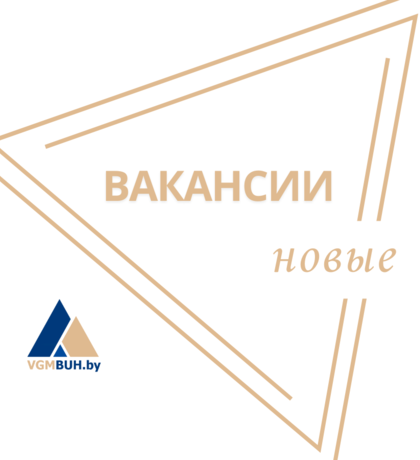 Бухгалтерская компания «VIProFinance»