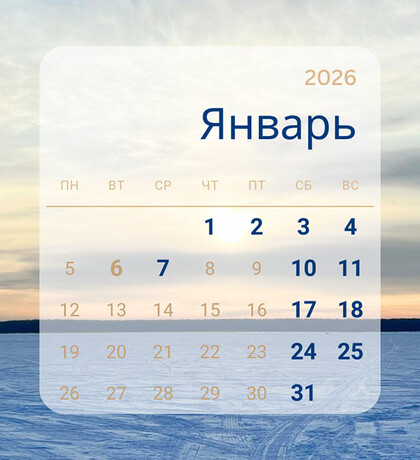 Бухгалтерская компания «VIProFinance»