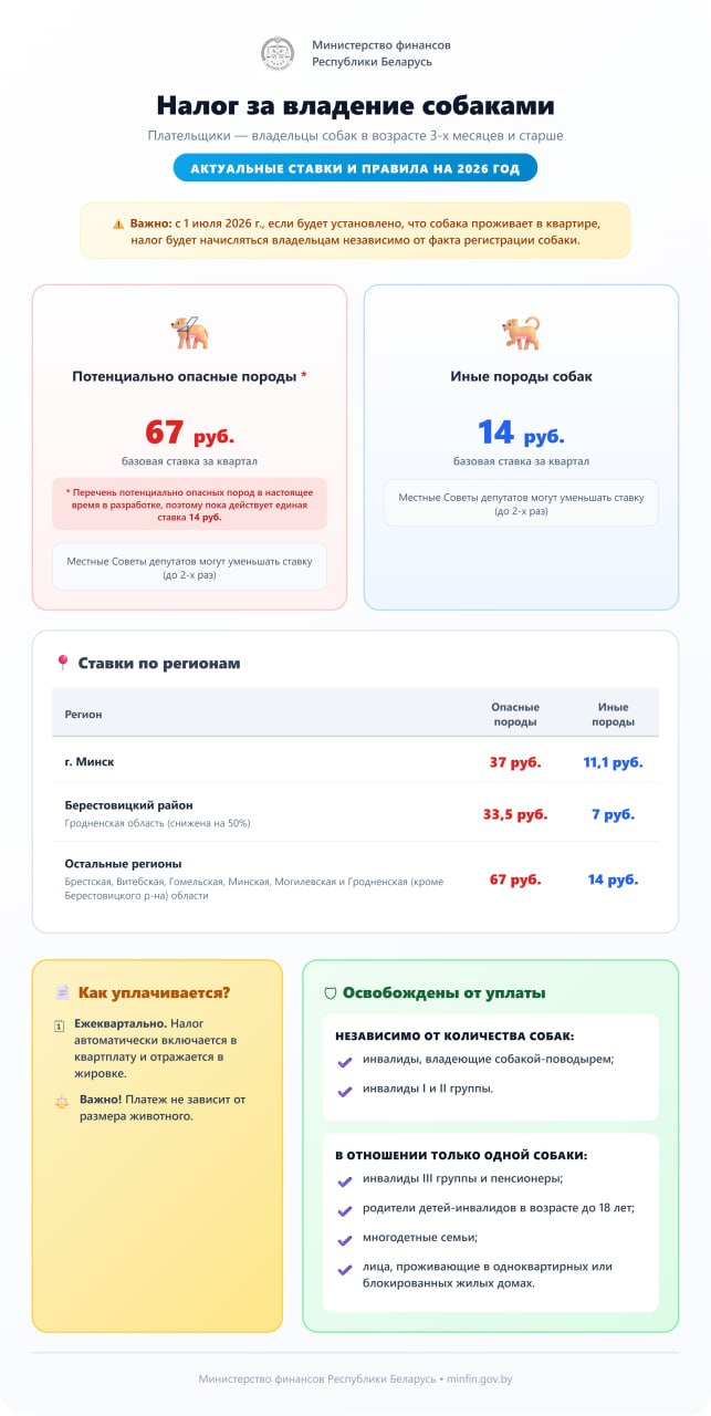 Инфографика: налог на собак в 2026 году в КР
